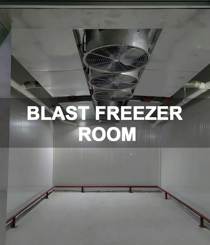 4.Blast Freezer Room 4.Blast Freezer Room